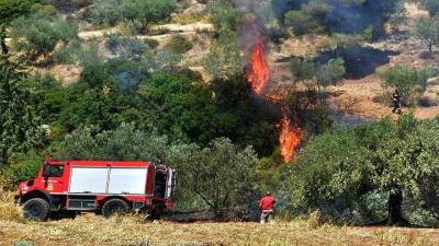 Πυροσβεστική: 70 αγροτοδασικές πυρκαγιές το τελευταίο εικοσιτετράωρο