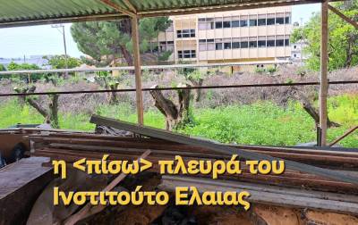 Ανοιχτή Επιστολή προς τους βουλευτές Μεσσηνίας για το μέλλον του Ινστιτούτου Ελαίας Καλαμάτας και της μεσσηνιακής ελαιοκομίας