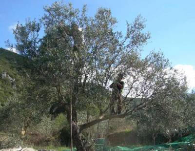 Πώς θα πληρώσουν τα μεροκάματα;