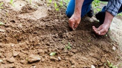 Παράταση έως 30/6/23 στην προθεσμία για υποβολή αιτημάτων για κατά παρέκκλιση μετάκληση εργατών γης