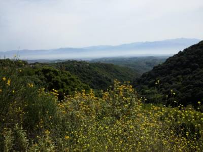 Νέφος από πυρηνελαιουργεία στον κάμπο της Καλαμάτας (βίντεο)