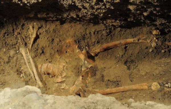 Ανθρώπινος (;) σκελετός βρέθηκε στον Ακοβο