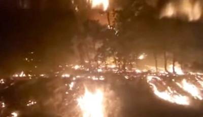 Μεγάλη αναζωπύρωση στη Δαδιά: Μήνυμα του 112 και νέα εκκένωση του χωριού (βίντεο)