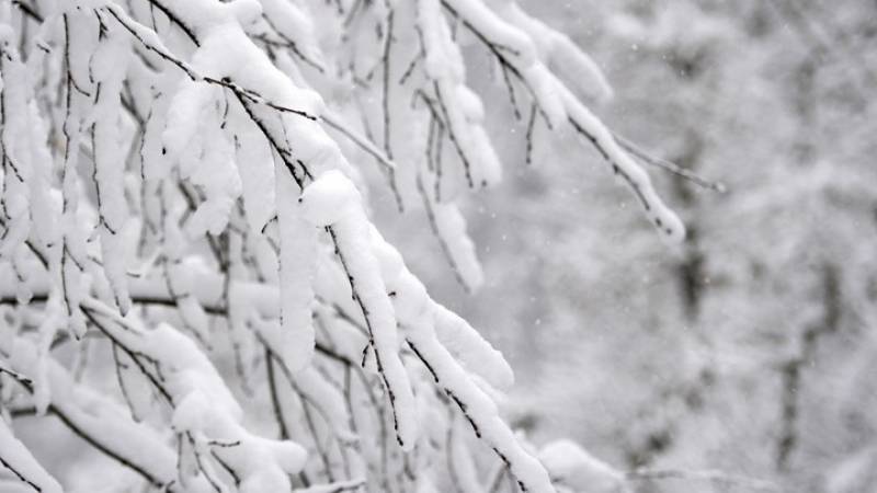 Έρχεται η κακοκαιρία «Λέανδρος» - Με «πολικές» θερμοκρασίες και δύο κύματα χιονοπτώσεων