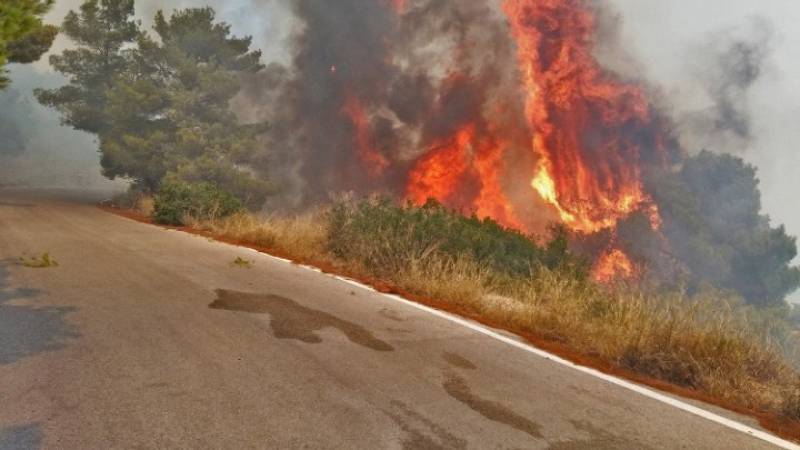 Πυροσβεστική: 83 αγροτοδασικές πυρκαγιές το τελευταίο 48ωρο – 7συλλήψεις για εμπρησμό από αμέλεια