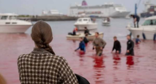 Νησιά Φερόε: Δεκάδες φάλαινες σφαγιάστηκαν μπροστά σε επιβάτες κρουαζιέρας