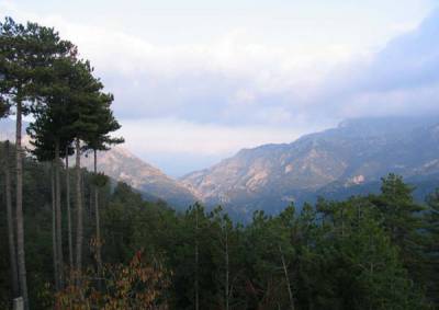 Κάλεσμα ΠΕΑΕΑ για τις εκδηλώσεις στον Ταΰγετο