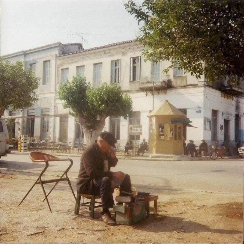 Ο Λεβεντάκης για τη μουριά “Ταμβάκη”