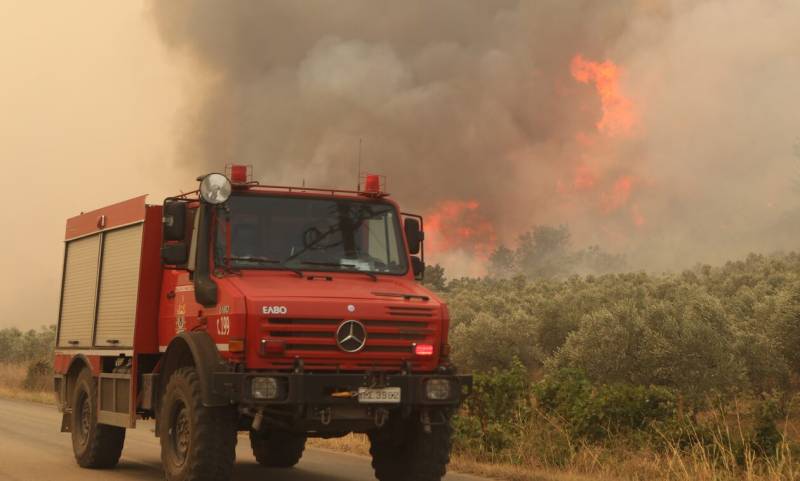 Εβρος-Δαδιά: Έσβησε η πυρκαγιά, σε επιφυλακή η πυροσβεστική για αναζωπυρώσεις