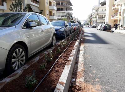 Θάμνοι και δέντρα στη νησίδα της Θεμιστοκλέους