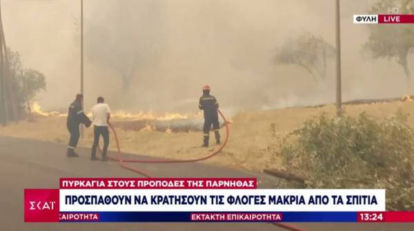 Φωτιά στη Φυλή Αττικής: Καίγονται σπίτια (Βίντεο)