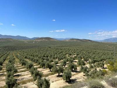 Ο αγροτικός τομέας χρειάζεται εντελώς διαφορετική προσέγγιση