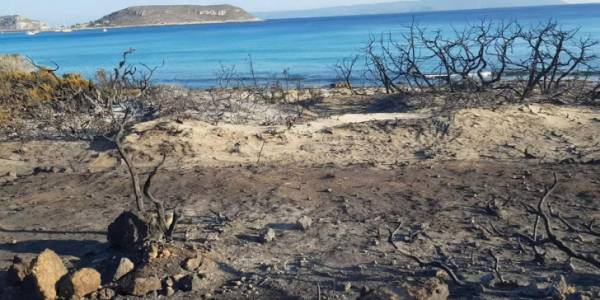 Ελαφόνησος: Η φωτιά έκανε στάχτη το 25% του νησιού (Βίντεο)