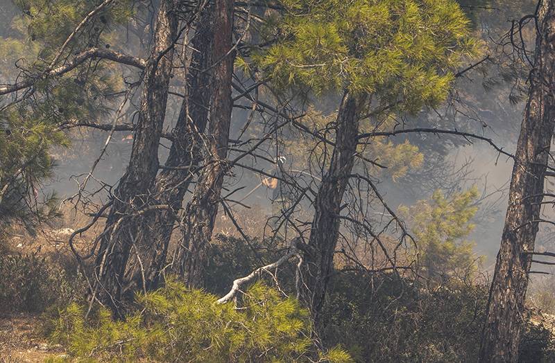 Τα υψηλότερα επίπεδα καμένων εκτάσεων από δασικές πυρκαγιές των τελευταίων δεκατριών ετών στην Ελλάδα, στα τέλη του φετινού Ιουλίου