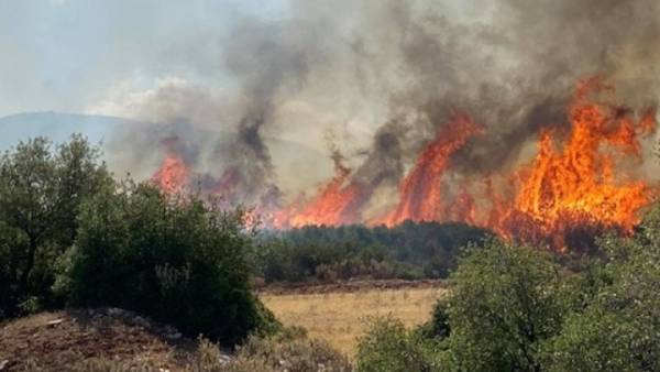 Πυρκαγιά στον Μύτικα Σπάρτης