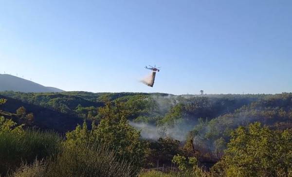 Ρούτσι Μεγαλόπολης: Βελτιωμένη η κατάσταση με την πυρκαγιά - Επιχειρούν δύο ελικόπτερα