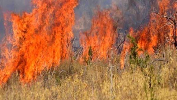 Κορινθία: Πυρκαγιά σε αγροτοδασική έκταση στην περιοχή Μαψός