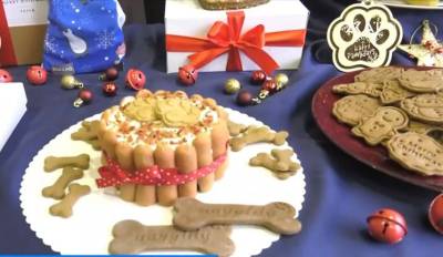 Λαχταριστές τούρτες, cupcakes και λιχουδιές... αλλά για σκύλους