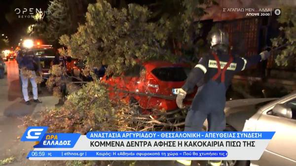 Κακοκαιρία στη Θεσσαλονίκη: Πτώσεις δέντρων σε έξι σημεία της πόλης - Ζημιές σε αυτοκίνητα (Βίντεο)