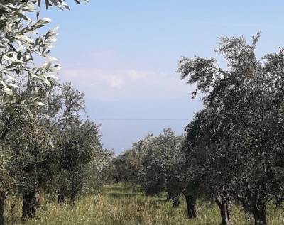 Σύσκεψη αγροτών στο Χανδρινού