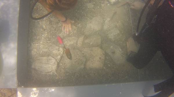 Νέα αρχαιολογικά ευρήματα στην παραλία Λαμπαγιαννά Αργολίδας