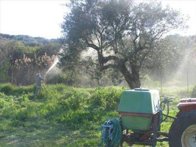 Οδηγίες της ΔΑΟΚ Μεσσηνίας για καταπολέμηση του δάκου