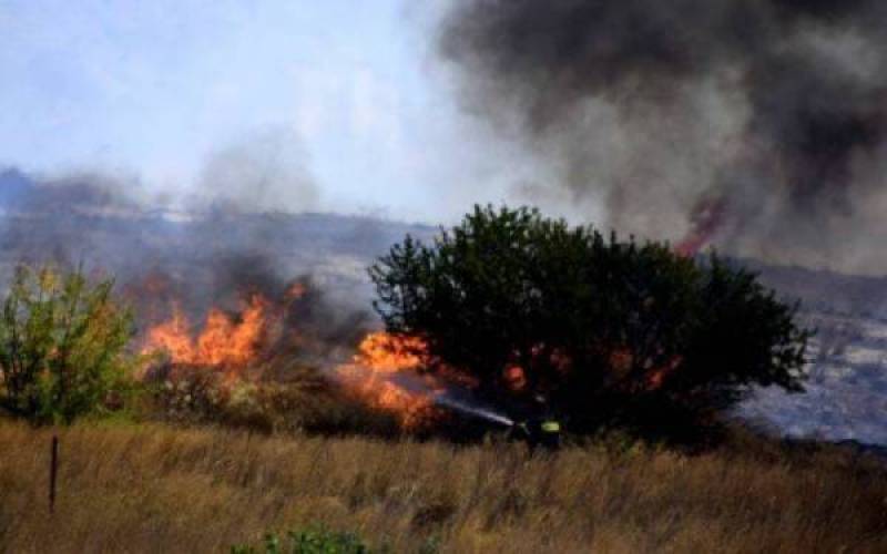 Σε εξέλιξη δύο πυρκαγιές στη Μεσσηνία