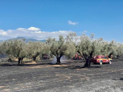 Αμεση επέμβαση της Πυροσβεστικής: Πρόλαβαν τις πυρκαγιές σε Πεταλίδι και Αριστοδήμειο