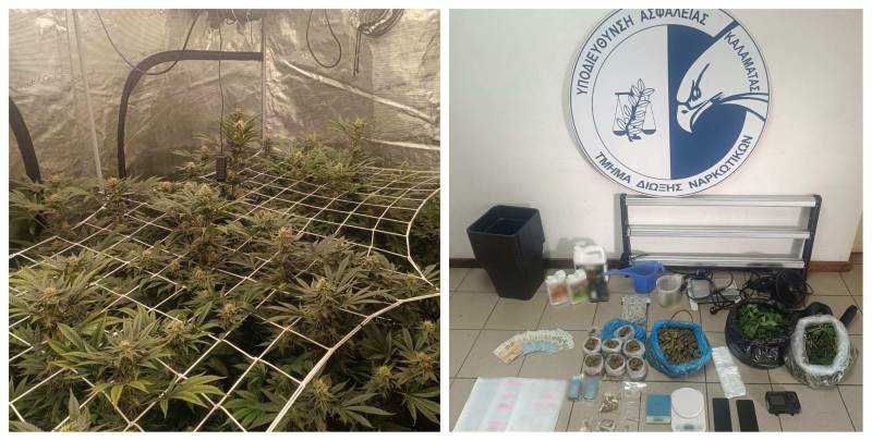 Θερμοκήπια κάνναβης στην Τρίπολη ξετρύπωσε η Δίωξη Ναρκωτικών Καλαμάτας (βίντεο-φωτογραφίες)