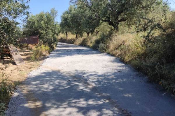 Βελτίωση δρόμου προς Αρχαία Θουρία από τον Δήμο Καλαμάτας