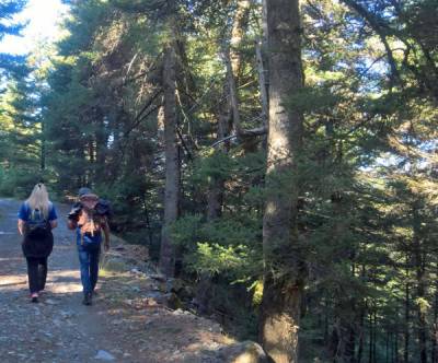 "Πάμε βόλτα" στον Ταΰγετο