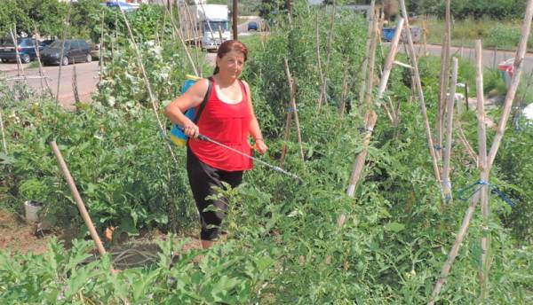 103 δημοτικοί λαχανόκηποι στην Καλαμάτα 