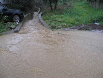 Επίθεση Νικολάκου σε  Πετράκο για Οιχαλία