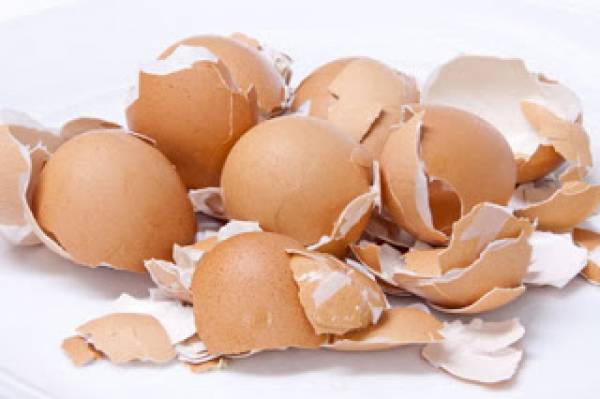 Με το εμπόριο ελπίδας μπορεί  να χαθούν τα αυγά και τα καλάθια