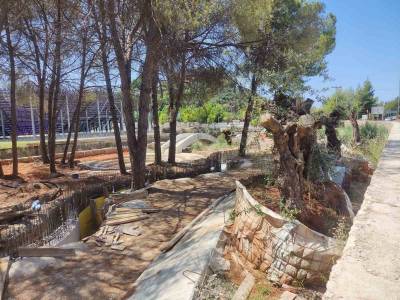 Το Δεκέμβριο ολοκληρώνεται το υπαίθριο πάρκο ελιάς