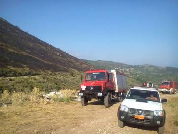 Κάηκαν 150 στρέμματα δάσους στον Αετό