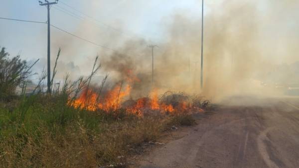 Καλαμάτα: Μεγάλη φωτιά στο Ασπρόχωμα - Κινδύνευσαν επιχειρήσεις (βίντεο)