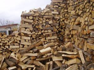 Δημοπρασία 14 κυβικών κατασχεμένων ξύλων