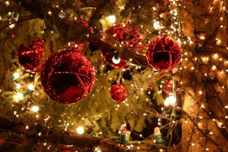 Στην Καβάλα άναψαν το χριστουγεννιάτικο δέντρο στα μισά του καλοκαιριού (φωτο)