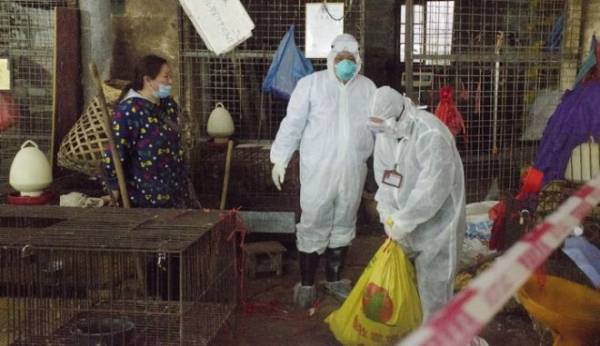 Κίνα: Πρώτο κρούσμα γρίπης των πτηνών H3N8 σε άνθρωπο