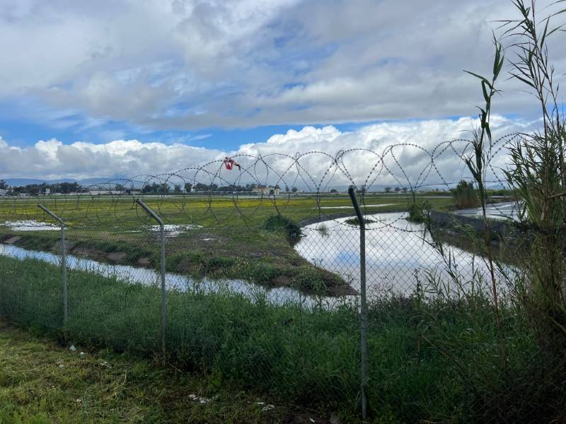 Μεσσηνίας: Πλημμύρισαν καλλιέργειες ελιάς και αγκινάρας