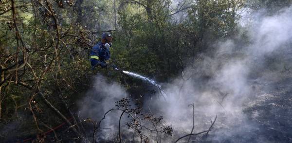 Φωτιές: 299 πυροσβέστες επιχειρούν στα Βίλια – Στη μάχη και 61 Ρουμάνοι