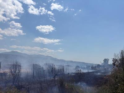 Μεσσηνία: Κάηκαν 8 στρέμματα στο Αριοχώρι - Πυρκαγιά και στη Μάδαινα