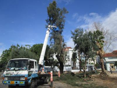 Ξεκίνησαν με κλάδεμα