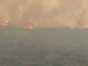 Πάνω από 200 στρέμματα έχει κάψει η φωτιά στη χωματερή της Πύλου
