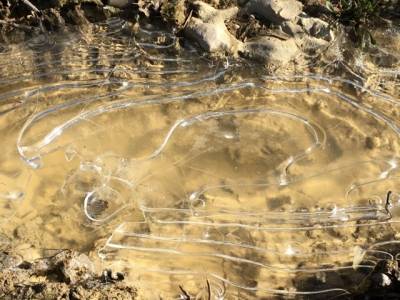 Έως -3 έφθασε το θερμόμετρο στην Τριφυλία - Χωρίς ιδιαίτερα προβλήματα οι καλλιέργειες