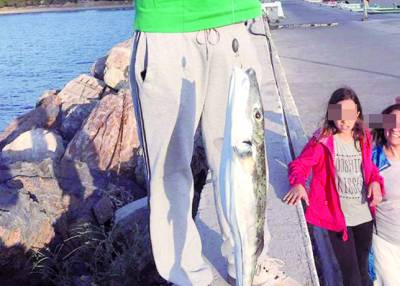 3 κιλά λαγοκέφαλος στο λιμάνι της Κυπαρισσίας