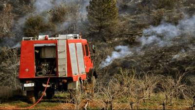 Υπό μερικό έλεγχο πυρκαγιά σε δασική έκταση στην Σκαλωσιά Κορινθίας