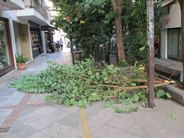 Καλαμάτα: Κλάρα δέντρου έπεσε στον πεζόδρομο της Βαλαωρίτου