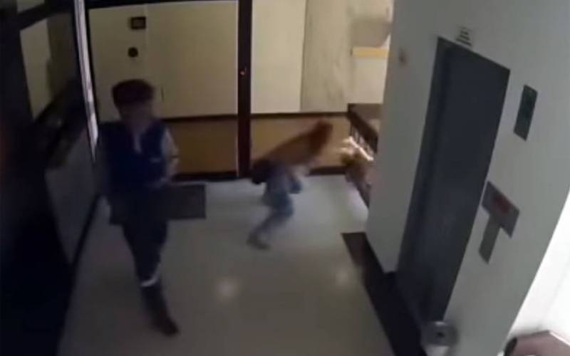 Μητέρα σώζει αρπάζοντας από το πόδι τον γιο της που πέφτει από τον τέταρτο όροφο (Βίντεο)